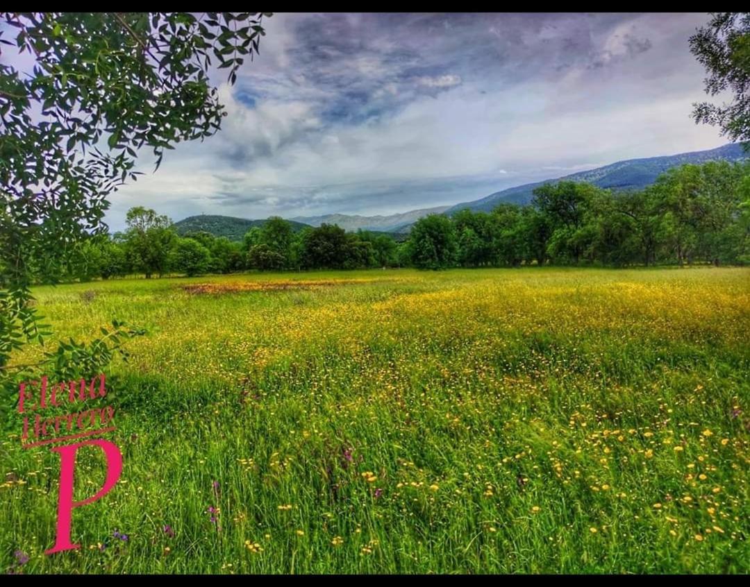 El Rincon De Los Lanchares Sotillo de la Adrada Εξωτερικό φωτογραφία